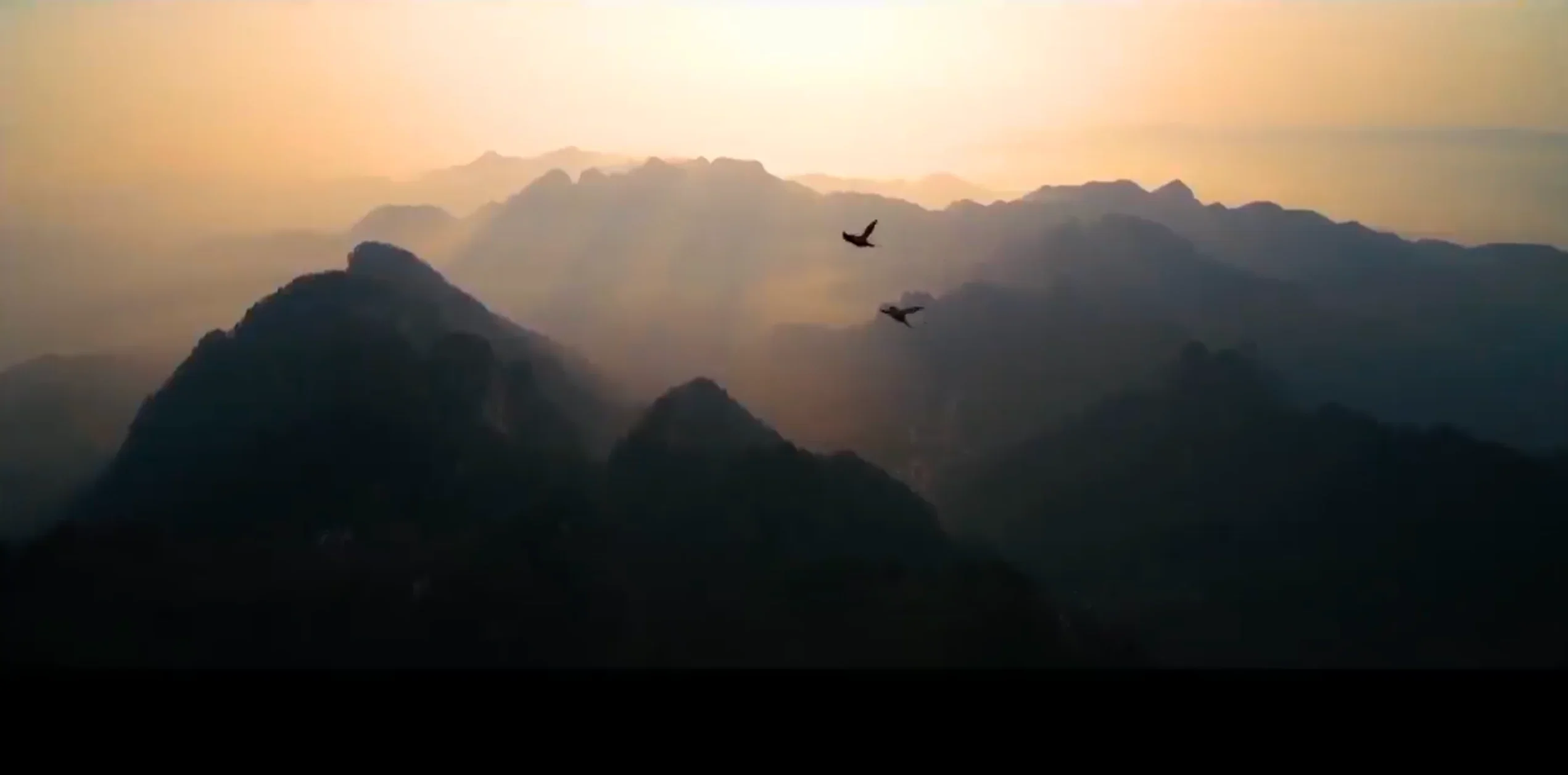 Poster video Prezentare E-STAR T